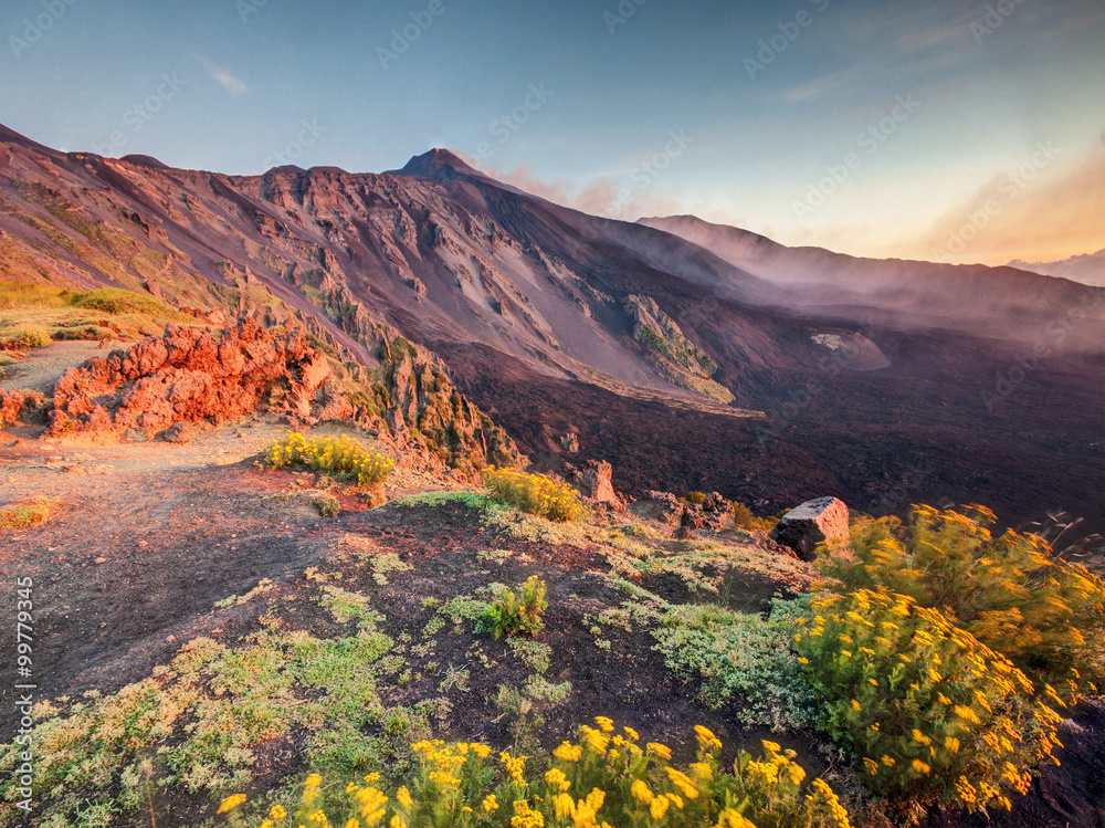 Etna Volcano in Sicily, Italy with colorful flowers on foreground - obrazy, fototapety, plakaty 
