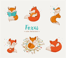Fox Characters, Cute, Lovely Illustrations 