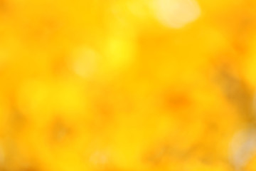 Poster - Blurred golden autumn leaves, close up