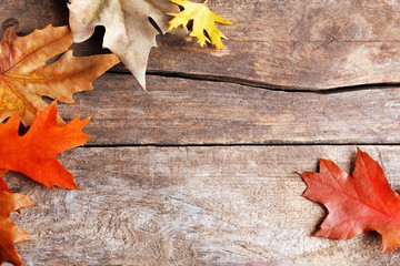 Wall Mural - Frame of autumn leaves in a row on wooden background, close up