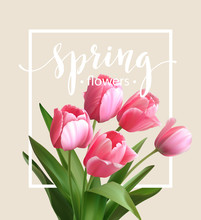Spring Text With  Tulip Flower. Vector Illustration