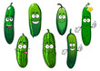 Cartoon ripe green organic cucumber vegetables