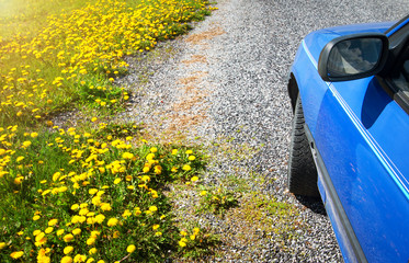 Car on country road