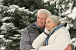 © aletia2011 - senior couple at winter outdoors