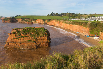 Wall Mural - Rock stack Ladram Bay UK Jurassic coast Devon England UK