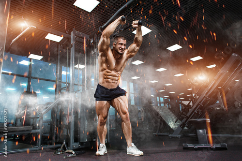 Fotografie, Obraz Strong Athletic Man bodybuilder training triceps muscles in simulator in gym