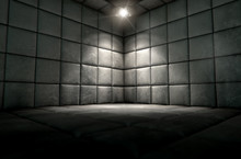 Padded Cell Dirty