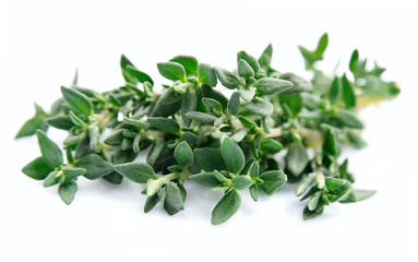 Thyme herbs