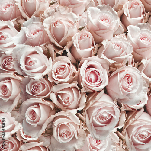 Naklejka - mata magnetyczna na lodówkę Pink vintage roses
