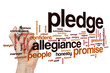 Pledge word cloud concept