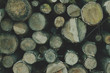 Fire wood texture. Soft hipster colors