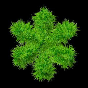 Conceptual green grass 3D font isoalted on black