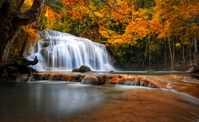 Orange autumn leaves on trees in forest and mountain river flows through stones and waterfall cascades