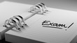 © xtock - Closeup of a personal agenda setting an important date represent