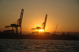 Fototapeta Młodzieżowe - Container Crane  Port of Santos - Brazil