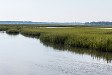 Marshland At Pleasure House Point Natural Area Which Is South Of The Chesapeake Bay In Virginia Beach, Virginia. 