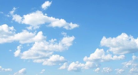 Wall Mural - sky