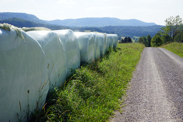 Wall Mural - Rolls and road