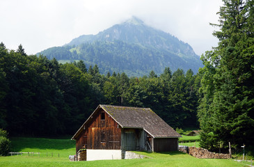 Poster - Shed with firewood