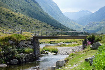 Wall Mural - Footpath near river