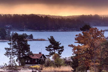 Wall Mural - Fog along the shores