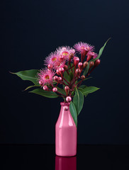 Wall Mural - Elegant bouquet of vivid pink Eucalyptus flowers in a pink vase