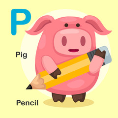 Illustration Isolated Animal Alphabet Letter P-Pig,Pencil