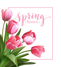 Spring Text With  Tulip Flower. Vector Illustration