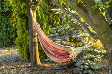 Hammock between two trees on garden at sunset