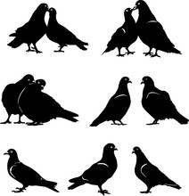 Pigeon, Dove, Pair, Bird, Vector, Silhouette, Black