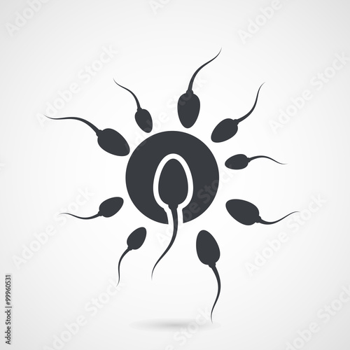 Fotografie, Obraz Fertilized ovum - attack of spermatozoons and egg cell