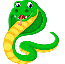 Illustration Of Cobra Snake Cartoon
