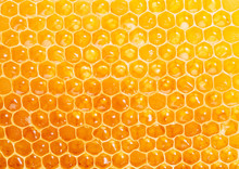 Honeycomb. High-quality Picture.