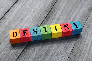 Wall Mural - destiny text on colorful wooden cubes