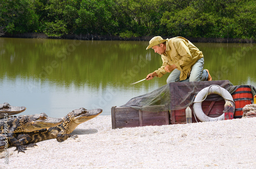 Fotografie, Obraz Funny ship wrecked castaway man stranded in the mangrove swamp being attacked by alligators as he climbs on top of his cargo boxes and points his knife at the alligators protecting his supplies