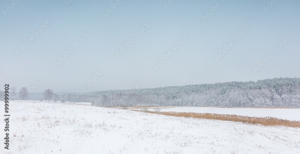 Winter field under cloudy gray sky - obrazy, fototapety, plakaty 