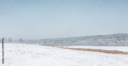 Winter field under cloudy gray sky Tableau sur Toile