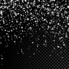 Leinwandbilder - Vector falling snow on seamless transparent background