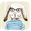 illustration of dressed up bunny 
