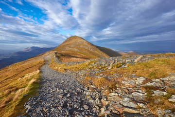 Wall Mural - mountain trail
