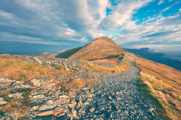 Wall Mural - mountain trail