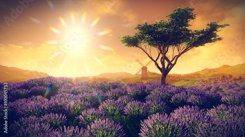 Nowoczesny obraz na płótnie Lavender fields with solitary tree