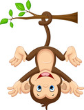 Fototapeta  - Cute baby monkey hanging on tree