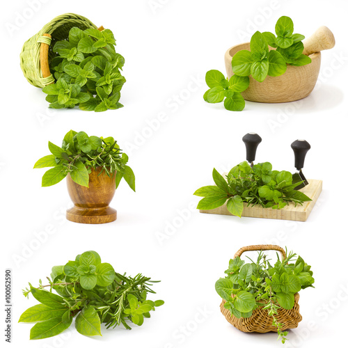 Naklejka - mata magnetyczna na lodówkę collection of freshly harvested herbs on white background