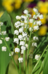 Sticker - Bouquet de muguet