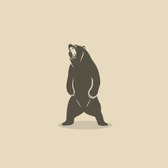 bear standing on two legs
