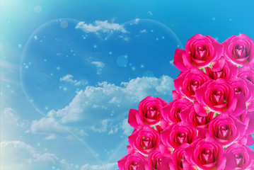 Pink rose bunch on light blue sky for romantic valentine backgro