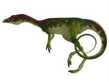 Compsognathus Side Profile - Compsognathus Was A Small Carnivorous Theropod Dinosaur That Lived During The Jurassic Period Of Europe.