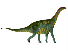 Jobaria Side Profile - Jobaria Was A Herbivorous Sauropod Dinosaur That Lived In The Jurassic Period Of The Sahara Desert In Africa.