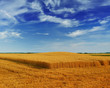 © Željko Radojko - field at after harvest